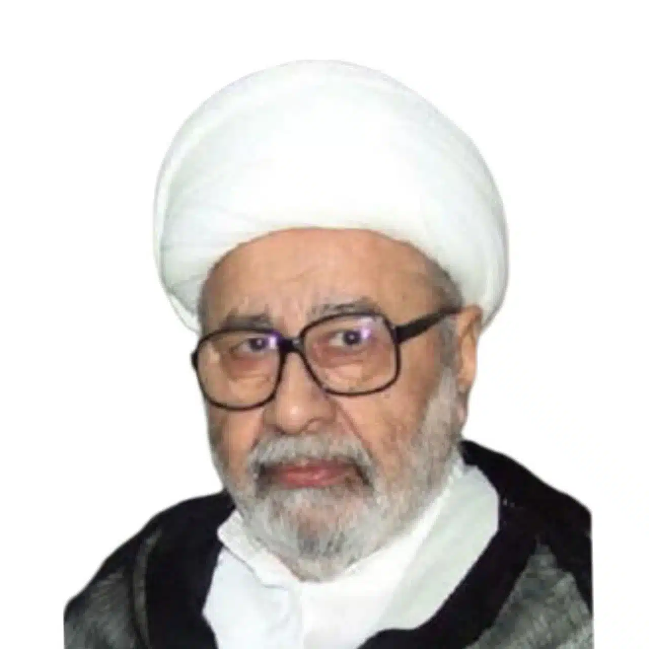 عبدالهادی فضلی